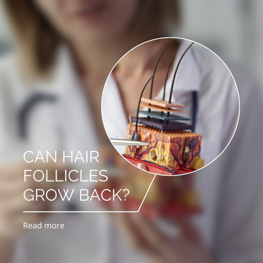 Can Hair Follicles Grow Back?