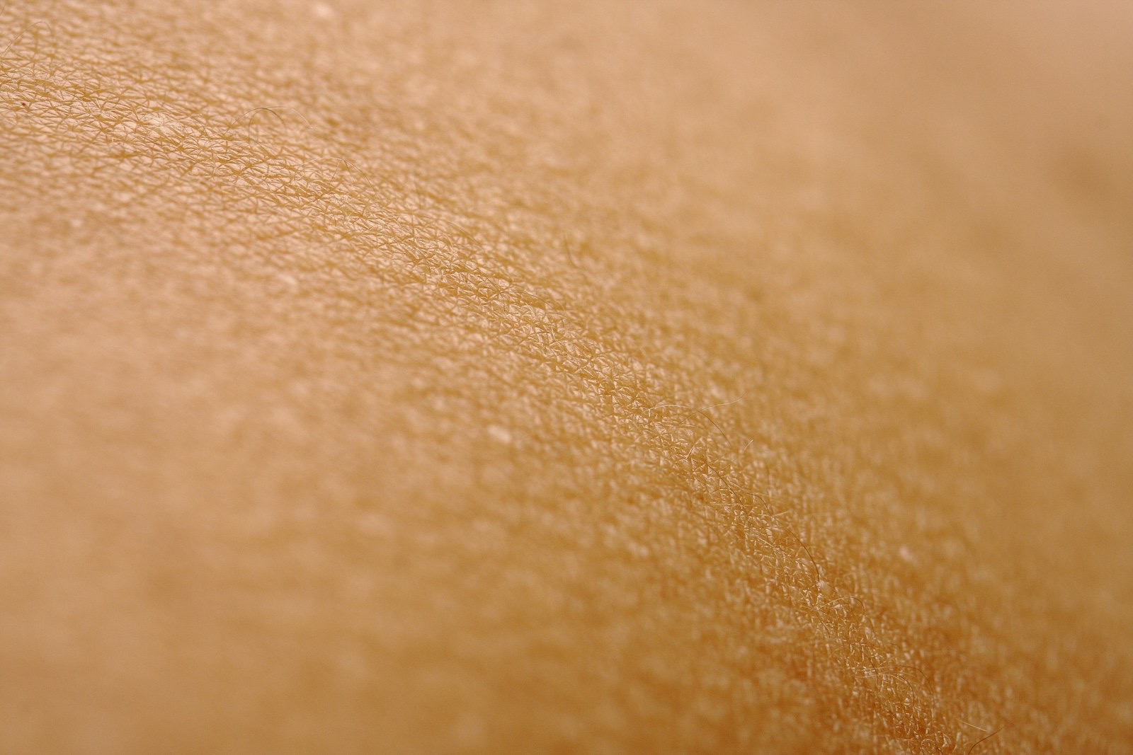 Close-up view of skin texture