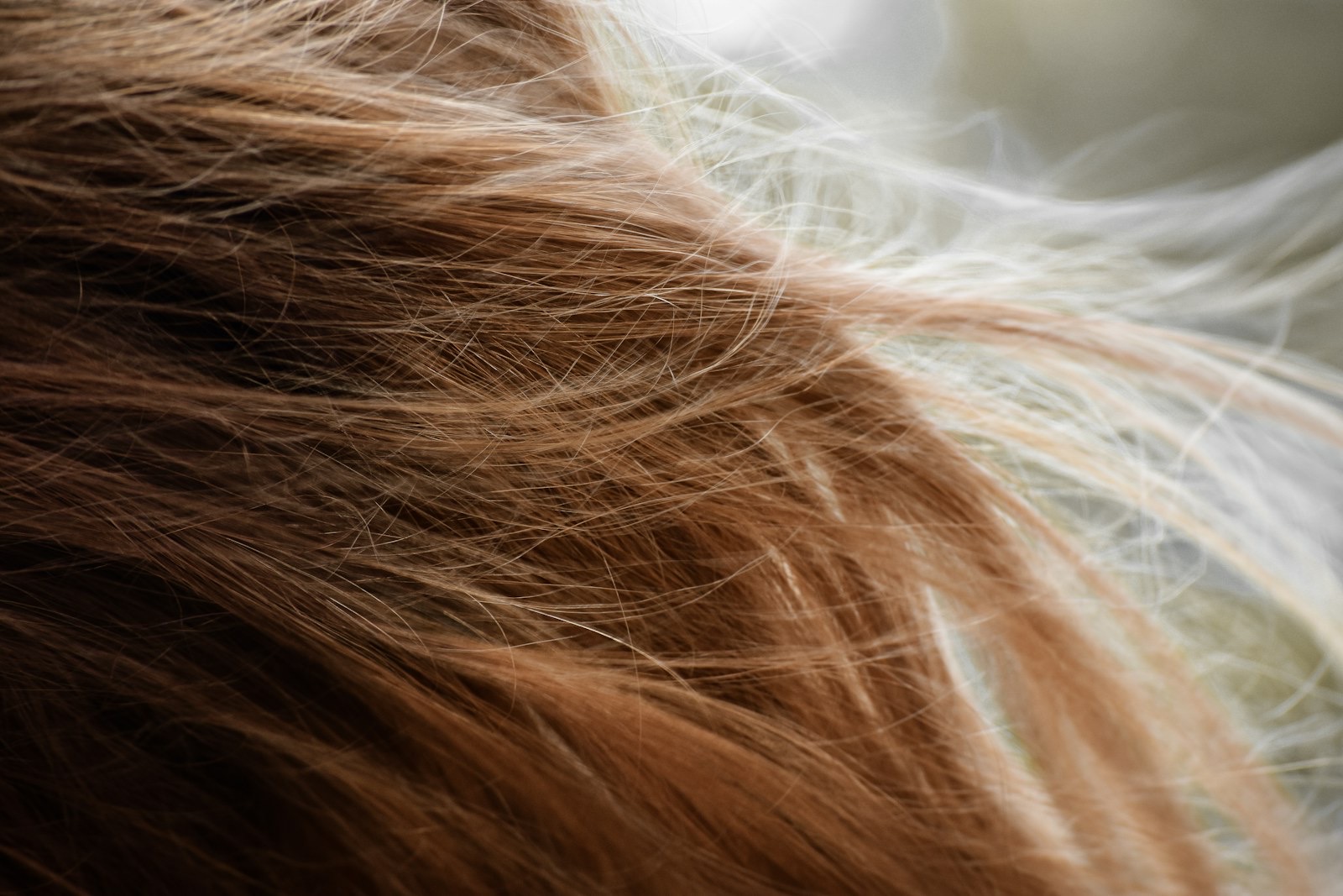 Loose strands of brown hair on a white surface